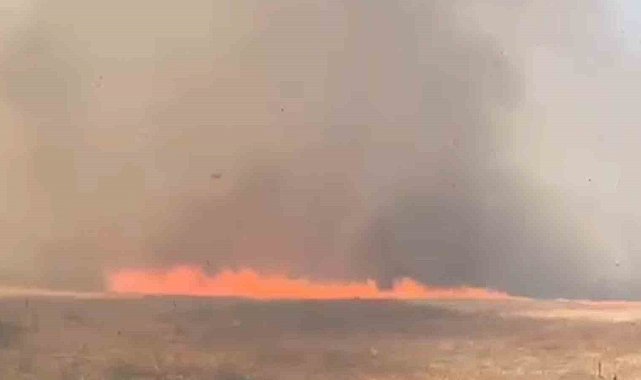Tekirdağ'da alevler tarla ve ormanı sardı: 10 ev boşaltıldı