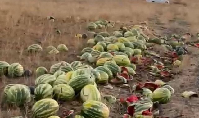 Tekirdağ'da israf tepkisi: Karpuzlar yola saçıldı