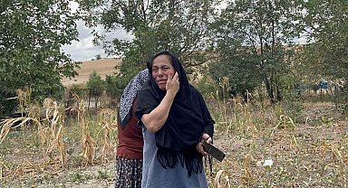 Tekirdağ'da korkutan yangın: Mahsur kalan kediler için ağladılar