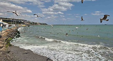 Tekirdağ'da poyraz deniz ulaşımını aksattı