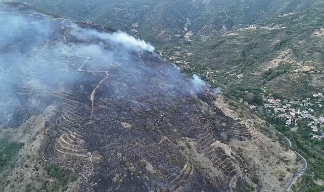 Tekirdağ'daki orman yangınını söndürme çalışmaları sürüyor