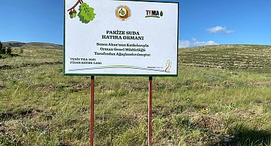 TEMA gönüllüsü Sezen Aksu, Pakize Suda adını hatıra ormanı ile yaşatacak