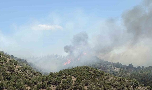 Tokat'ın Erbaa ilçesinde çıkan orman yangınına müdahale ediliyor