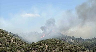 Tokat'ın Erbaa ilçesinde çıkan orman yangınına müdahale ediliyor