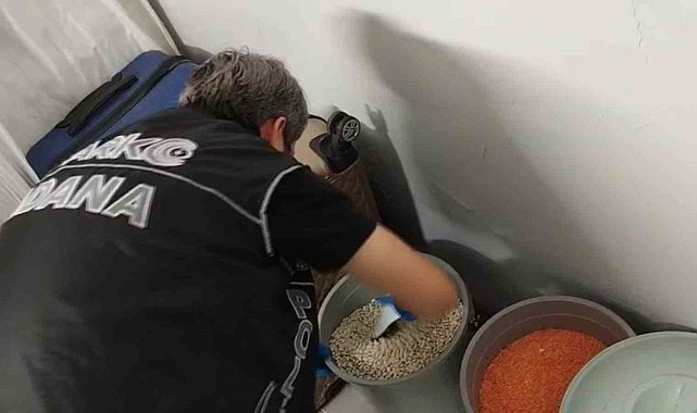 Torbacının bonzai zulası 'fasulye' dolu kova çıktı: 6 tutuklama