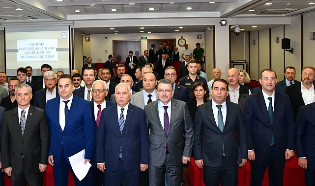 Trabzon'da sahipsiz hayvanlar için yeni dönem: TİSKOB kuruluyor