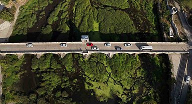 Tunca Nehri'nde kuraklık: Otlar yayıldı, su yüzeyi yeşile döndü