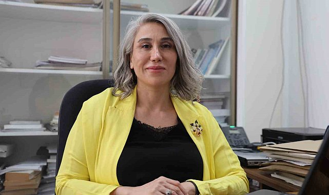 Türk bilim insanlarından dev çalışma, elektrikli araçlar daha güvenli olacak