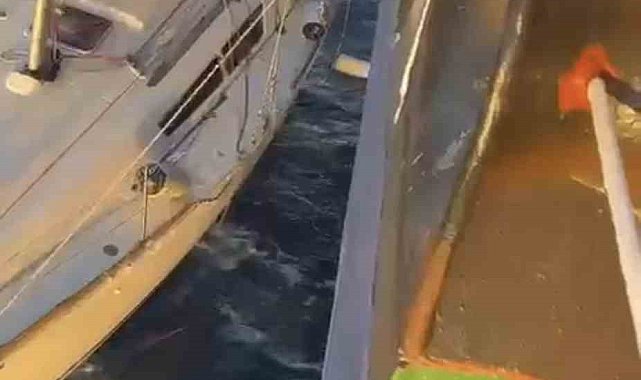 Uluslararası Denizcilik Örgütü'nden Ditaş'a "Denizde Üstün Cesaret Teşekkür Mektubu"