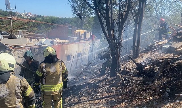 Ümraniye'de ağaçlık alanda çıkan yangın paniğe neden oldu