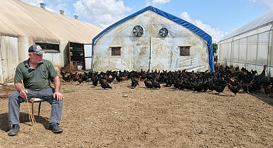 Üreticilere yüzde 50 hibeli 16 bin tavuk