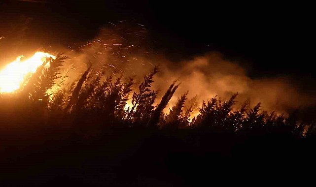 Urla yangını kontrol altında