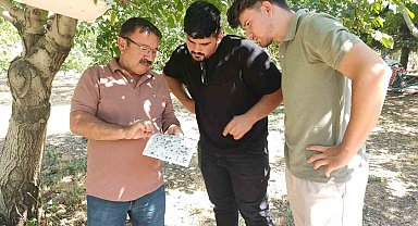 Uşak'ta tarımsal zararlılarla mücadele çalışması