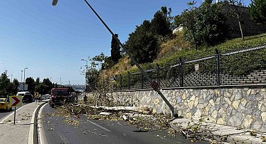 Üsküdar'da ağaç seyir halindeki otomobilin üzerine devrildi