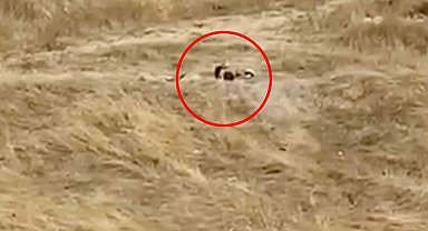 Uygunsuz hareketler sergileyen iki genç gözaltına alındı
