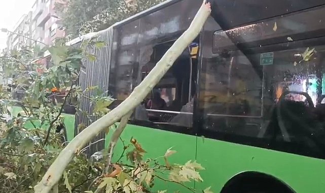Üzerine ağaç devrilen belediye otobüsünde can pazarı