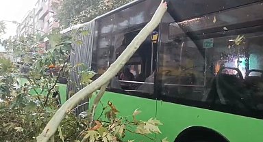 Üzerine ağaç devrilen belediye otobüsünde can pazarı