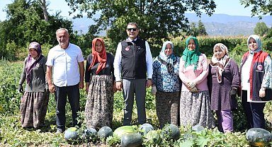 Vali Aslan, uygulama tarlasında incelemelerde bulundu