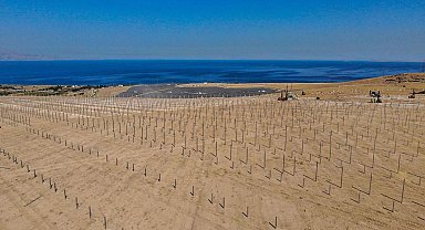 Van Büyükşehir Belediyesi'nden dev güneş enerjisi santrali yatırımı