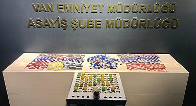 Van'da kesinleşmiş hapis cezası bulunan 110 kişi tutuklandı