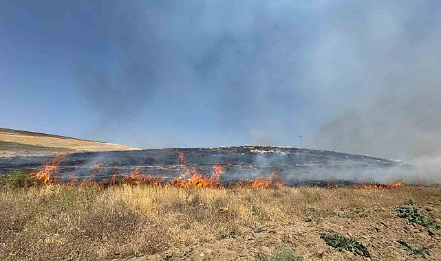 Van'da kuru ot yangını: Yüzlerce dönüm arazi kül oldu