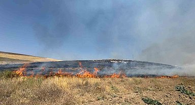 Van'da kuru ot yangını: Yüzlerce dönüm arazi kül oldu