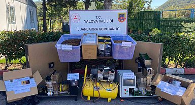 Yalova'da kaçak tütün operasyonunda 1 tutuklama