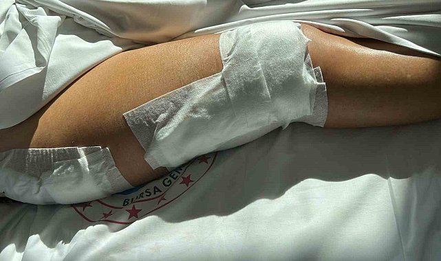 Yalova'da sürat teknesinin çarptığı yaşlı kadın ağır yaralandı