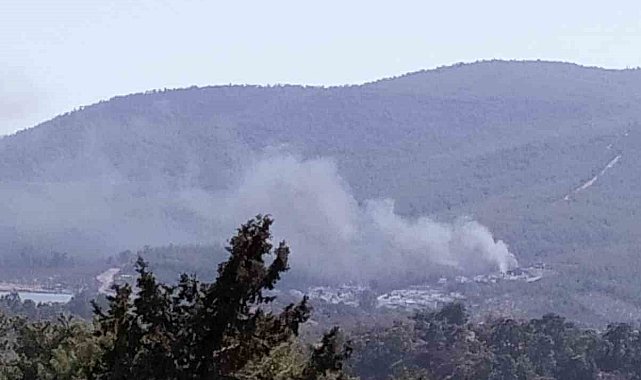 Yangın ormana sıçramadan söndürüldü