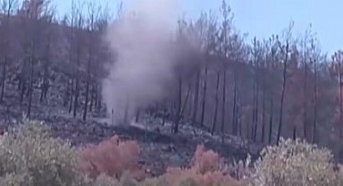 Yangının küle çevirdiği ormanlık alanda çıkan hortumlar kamerada