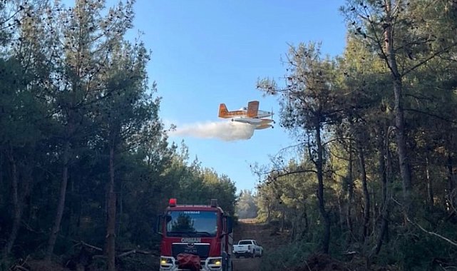 Yangınların yüzde 57'si orman dışı alanlarda başladı