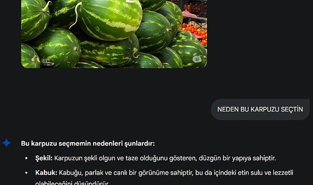 Yapay zeka pazara indi, karpuz seçimine başladı