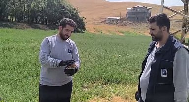Yaralı baykuş ekipler tarafından kurtarıldı