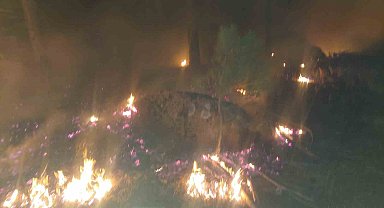 Yatağan'daki orman yangını söndürüldü