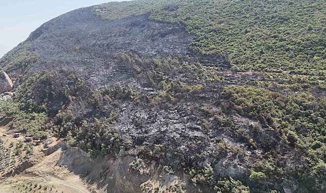 Yayladağı'nda çıkan orman yangını kontrol altına alındı