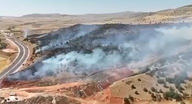 Yozgat'ta 70 dönüm arazi küle döndü