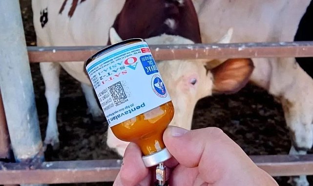 Yozgat'ta kapatılan hayvan pazarları yeniden açıldı