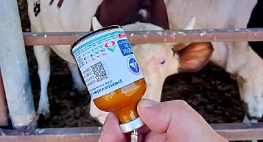 Yozgat'ta kapatılan hayvan pazarları yeniden açıldı