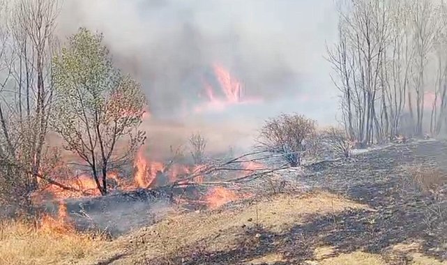 Yozgat'ta peş peşe çıkan yangınlar korkuttu