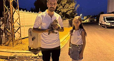 Yüksekova'da baba-kız yaralı kediyi hayata döndürdü