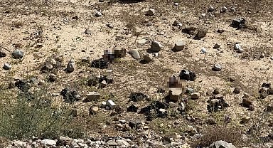 Yüksekova'da mezarlık yanına bırakılan bira şişeleri tepki topladı