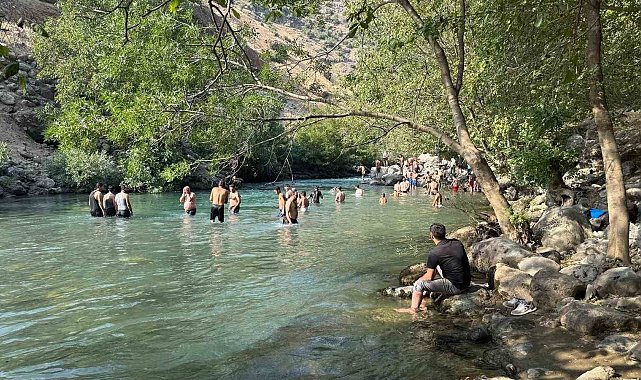 Yüksekova'da sıcakta bunalanlar Avaşin Deresi'nde serinliyor