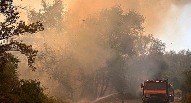 Yunanistan'da orman yangınları yerleşim yerine sıçradı