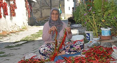 160 yıldır aynı tohumdan acı biber üretiyorlar