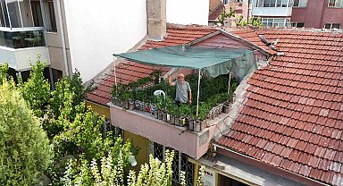 18 metrekarelik terasını 200 fideyle bahçeye çevirdi, 8 saatini burada harcıyor