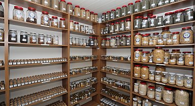 2026 yılında hedef 4 milyon yerel tohum