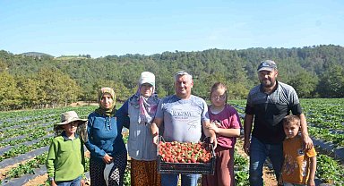 25 yıl yaptıkları işi yürütemediler, son çare olarak bunu buldular