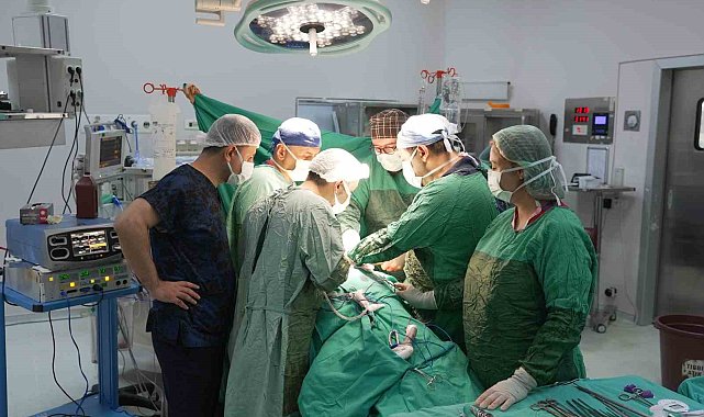 3 santimetrelik böbrek tümörü parsiyel nefrektomi ile çıkartıldı
