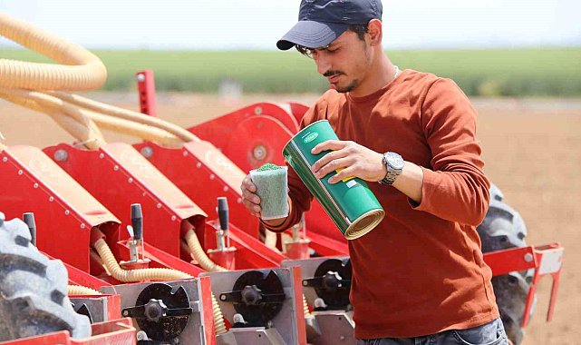 'Kiralık tarla' uygulaması başladı, uzmanlardan uyarı geldi