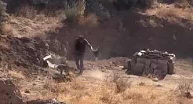 4 aylık köpeğe şiddet uygulayan şahıs gözaltına alındı